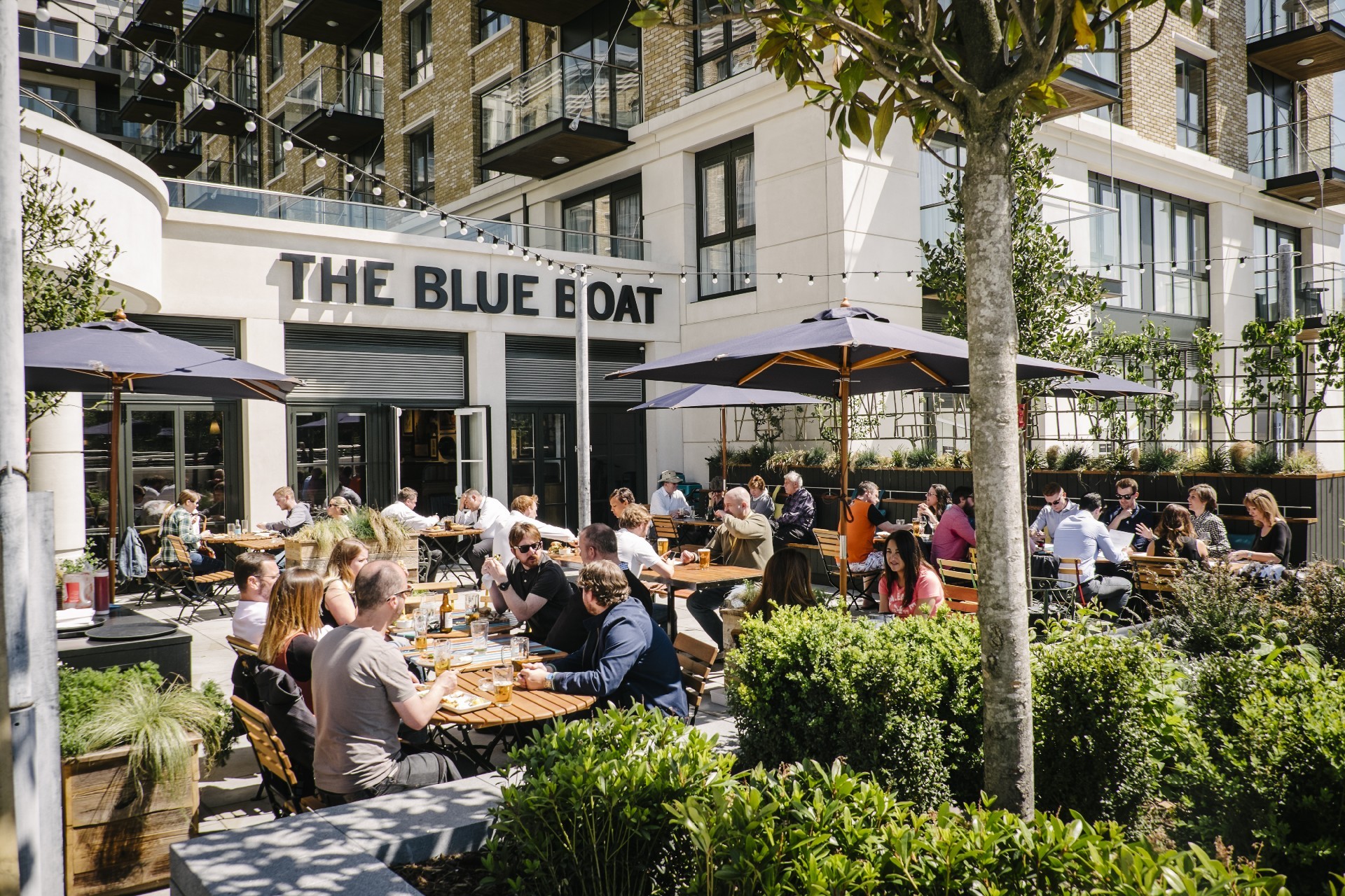 The Blue Boat, Fulham Reach